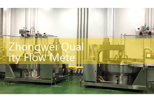 Micro mass flowmeter